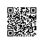 Y17451K80000T0R QRCode