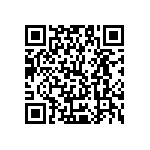 Y17451K87000B2R QRCode