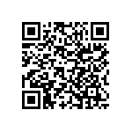 Y17453K50000B9L QRCode