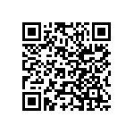 Y17454K99000B0R QRCode