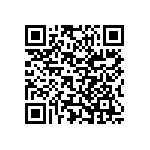 Y17459K90000T0L QRCode