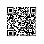Y174611K3238B9R QRCode