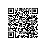 Y174613K2539B9R QRCode