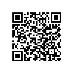 Y17461K13280T9L QRCode