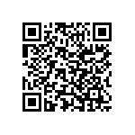 Y17461K20000T0L QRCode