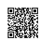 Y17463K25123T9L QRCode