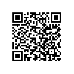 Y1746500R000T9L QRCode