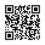 Y1747V0196QT0R QRCode