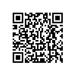 Y17487K20000B0L QRCode