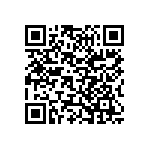 Y17529K90000F0L QRCode