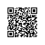 Y40786K45300V0L QRCode