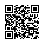 Y4C3B102K250CT QRCode