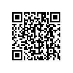 Z63000Z2910Z001Z36 QRCode