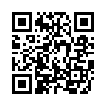 13008-022KESA QRCode