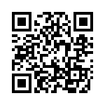 19041353 QRCode