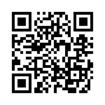 3-2013310-5 QRCode