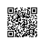 346-99-132-41-013000 QRCode