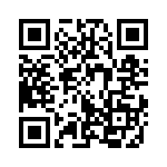 353VB3I343T QRCode