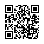 382811-9 QRCode