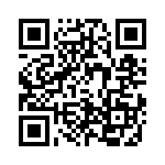 4-1393818-5 QRCode