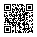 41FR33E QRCode