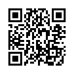 5511309 QRCode