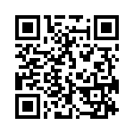 593272129313F QRCode