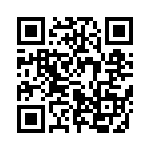 653P13303I3T QRCode