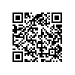 961105-6300-AR-PT QRCode