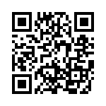 999-19-310-06 QRCode