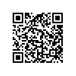 9B-16-384MAAE-B QRCode