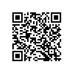 B32521C1334M289 QRCode