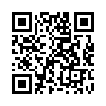 B32529D335J189 QRCode