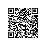 B41456B5339M000 QRCode