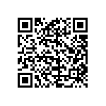 B64290P0036X033 QRCode