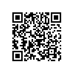 B65813J0160A041 QRCode