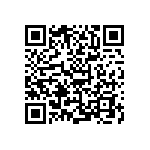 B88069X4211T902 QRCode