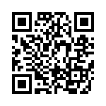 BFC233920684 QRCode