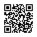 BFC236841333 QRCode