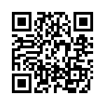 BR202 QRCode