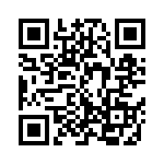 C317C331J2G5TA QRCode