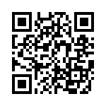 CE3391-24-704 QRCode