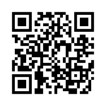 CRB3A4E223JT QRCode