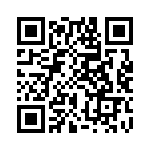 CW0101R300KE12 QRCode