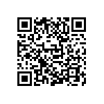 D55342E07B246ERWS QRCode