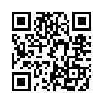 LIS33DETR QRCode