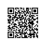 M55342K01B100DPT0V QRCode