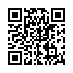 P4KE11-B QRCode