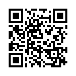 P4KE160C QRCode