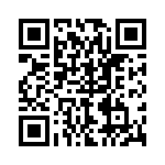 P4KE43A QRCode